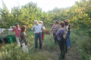 Agentes de viajes de agricultura