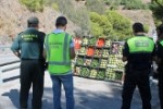 operacion_robos_agricolas267