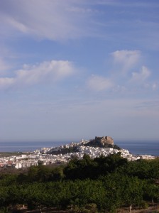 rehab_castillo