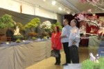 expo_bonsais267