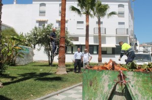 plan_embellecimiento2