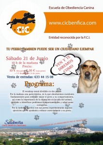 Concienciación canina
