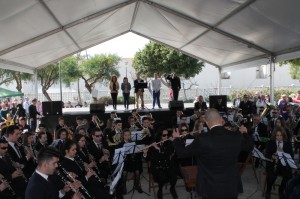 dia_andalucia_2015_2