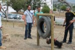 parque_canino267