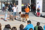 dia_discapacidad_267