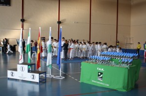 torneo_navidad_karate2