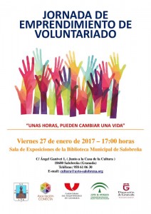 cartel-voluntariado
