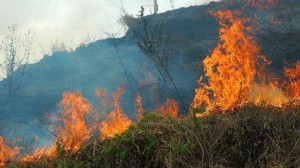 incendio-forestal