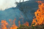 incendio-forestal267