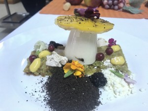 taller_cocina3