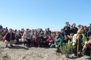 d_arbol2