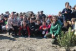d_arbol267