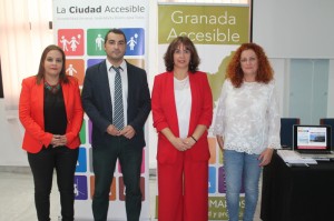 proy_accesibilidad_dip