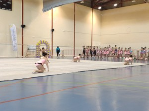 gimnasia_ritm