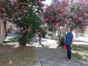 c_jardines
