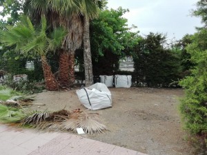 limpieza_parques3