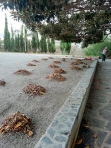 limpieza_parques4