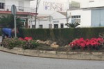 pascueros_267