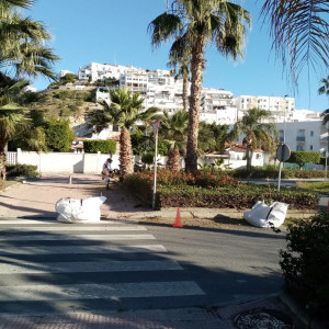 Cuidado de jardines_800