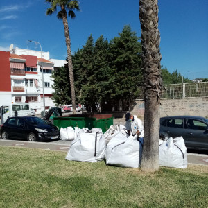 Cuidado jardines_2_800