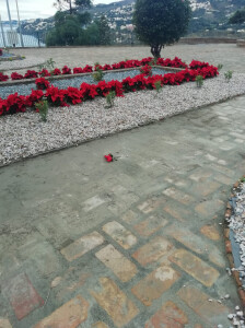 Pascueros Navidad 2020_800_1