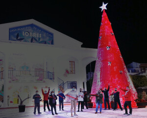Árbol Navidad Lobres 2020_800