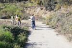 Canal_Salobrena_267