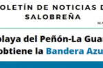 Boletin_mayo_2021_267