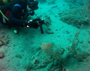 deportes-nauticos_800