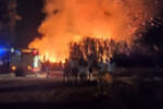 IMG-20210701-267