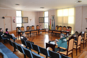 Comisión Violencia Género 7-21