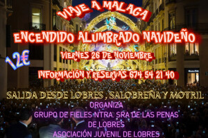 ViajeaMalaga_alumbrado