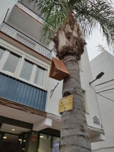 hoteles-insectos-1