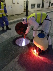 control-anual-plagas-1