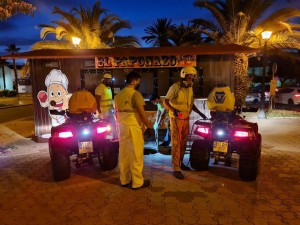 control-anual-plagas-2