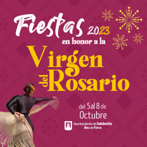 Libro fiestas Rosario 23