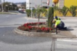 jardines_navidad_267