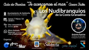 Charla_07