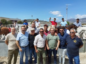 jornada_ecuestre_800