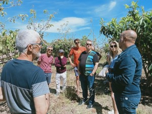 fotonoticia_países_bajos_800_2