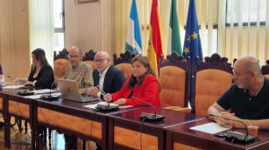 pleno_extraordinario_elecciones_800