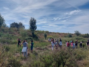 reforestac_800