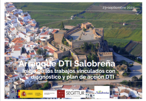 DTI