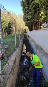 Nota alerta amarilla por lluvias_800