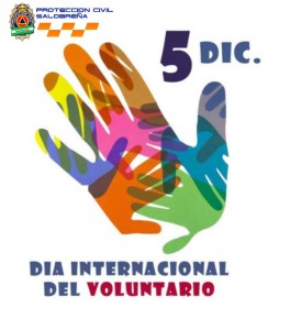 Día_Internacional_Voluntariado_800