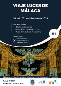 viaje alumbrado de Málaga_800_2