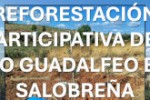 cartel-reforestacion_267