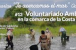 Voluntariado ambiental_267