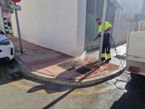 limpieza-orines-perros-2