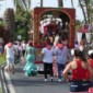 romeria-2025_267